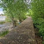 Malina * Nadole (Pomerania)